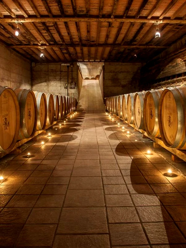 Cellar of the Malvirà winery, Roero, Piedmont, Italy
