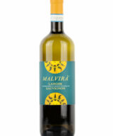 Malvira' - Sauvignon Blanc 2016