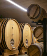 Cellar of Ridolfi - barriques and big oak barrels