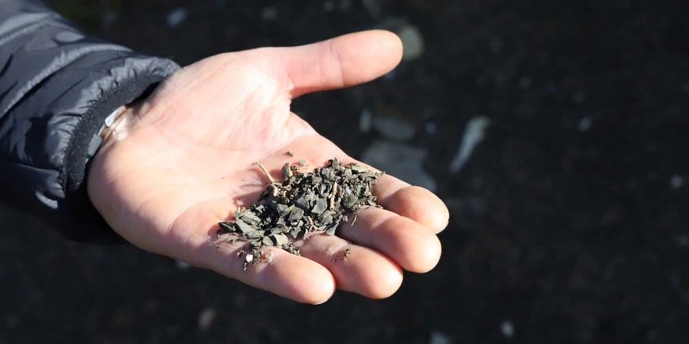 Dr Tommaso Bojola showing Galestro soil on his hand, Sangiovese vineyard near Castellina, Chianti Classico