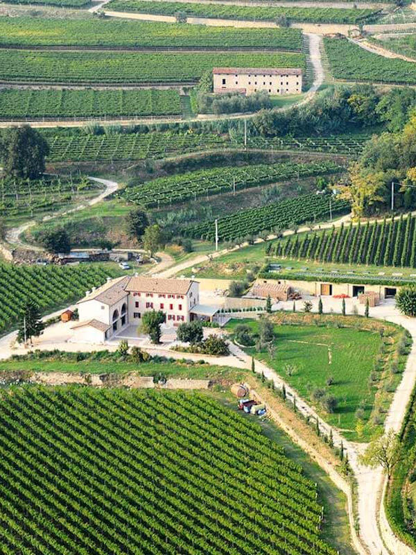 Drone view of Rubinelli Vajol vineyard in Valpolicella DOC