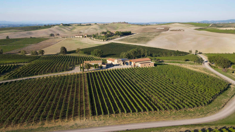 Vineyard of Ridolfi Brunello di Montalcino DOCG