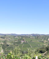 View from the Castelletto cru vineyard, ForteMasso winery, Monforte d'Alba, Barolo