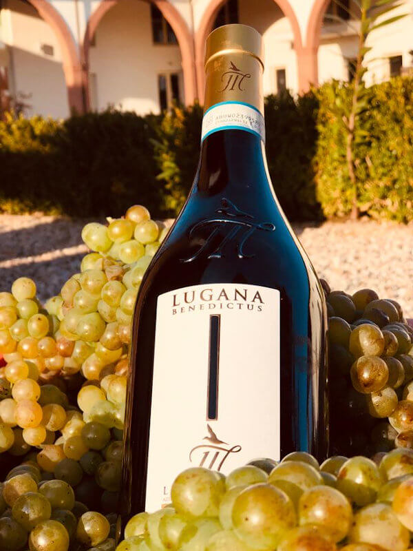 Le Morette Benedictus Lugana DOC wine, Turbiana (Trebbiano di Soave) grapes from the 2020 harvest