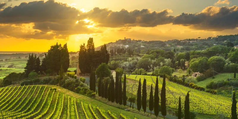 Vineyards in Toscana, villa surrounded by and cypress trees