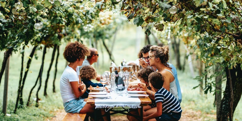 Guests of the Massimago Wine Relais have lunch in the vineyard, Mezzane di Sotto, Valpolicella, Veneto