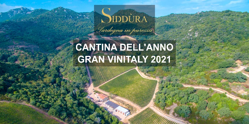 View of Siddura winery and vineyards, in the mountains of Sardinia, title Cantina dell'anno 2021 Vinitaly