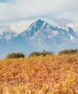 Vineyards of the Orlandi Contucci Ponno winery and Gran Sasso mountain at the background, Abruzzo, Italy