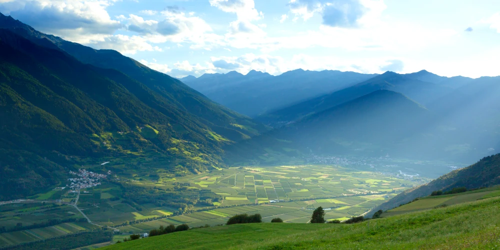 Panoramic view of Val Venosta/Vinschgau, with vineyards planted on the valley floor