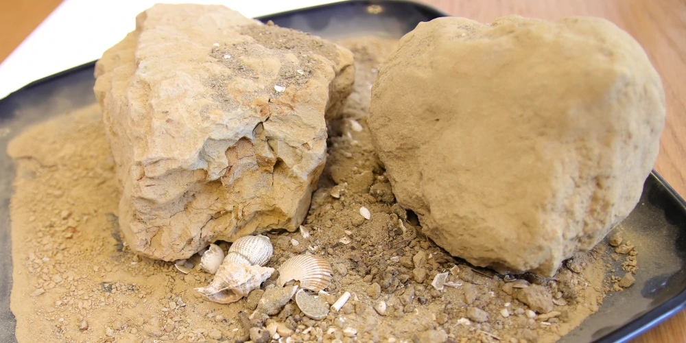 Soil with sand, clay and marine fossils from the municipality of Vezza d'Alba in Roero