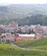 Broccardo family vineyard overlooking Barolo village in Barolo DOCG