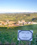 Broccardo Paiagallo vineyard, Barolo village, Barolo DOCG