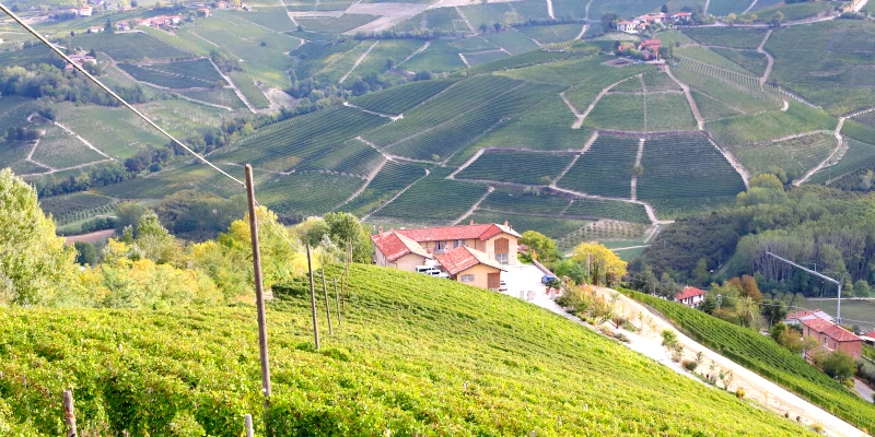 Castelletto vineyard and ForteMasso winery, Castelletto MGA, Monforte d'Alba, Barolo DOCG, Langhe, Piemonte, Italy