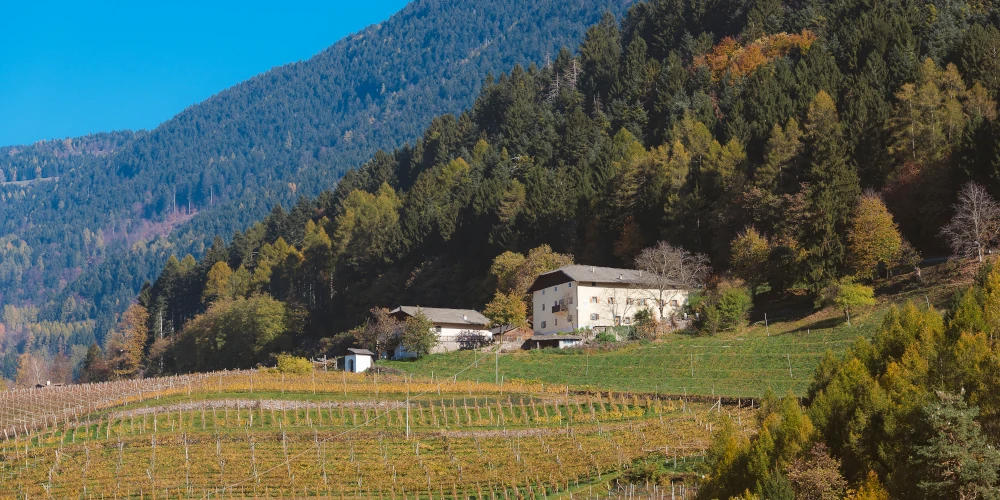 Maso - old farmouse in Weingut Steinhaus, Salorno, Alto Adige