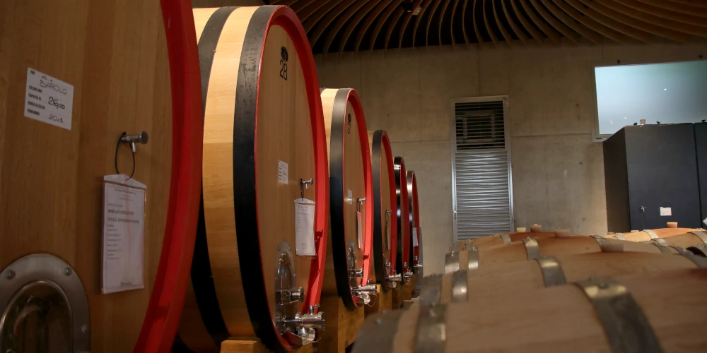 Oak ageing room in ForteMasso winery, Monforte d'Alba, Barolo DOCG