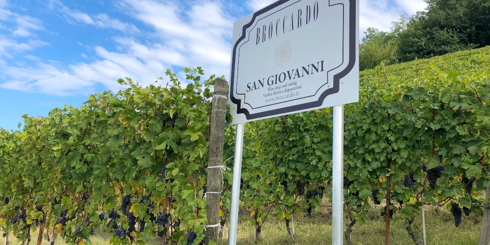 San Giovanni cru vineyard, Broccardo