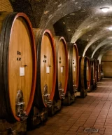 Big oak barrels in wine ageing cellar at the Corte Pavone winery, Brunello di Montalcino