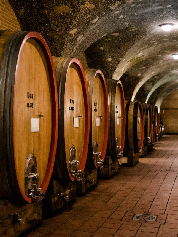 Big oak barrels in wine ageing cellar at the Corte Pavone winery, Brunello di Montalcino