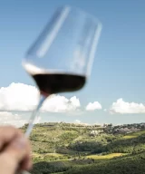 Corte Pavone - Brunello wine in the glass, view on the town of Montalcino