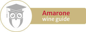 Icon - Amarone wine guide