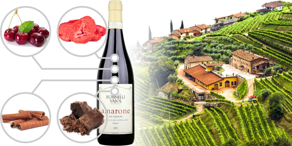 Infographics Flavours of Amarone della Valpolicella, view of terraced vineyards in the Valpolicella area