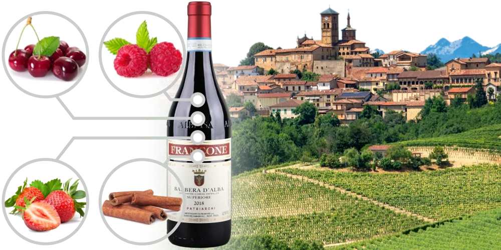 Infographics Flavours of Barbera wine - Cherry, Raspberry, Strawberry, Cinnamon