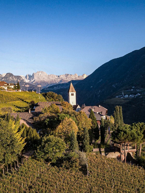 Loacker Schwarhof vineyard in the St Magdalener zone near Bolzano, Alto Adige