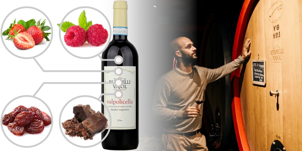 Infographic - Flavours of Valpolicella wine - strawberry, raspberry, raisins, chocolate, background of winemaker tasting Valpolicella wine standing next to a big oak barrel in a dark cellar in  Valpolicella