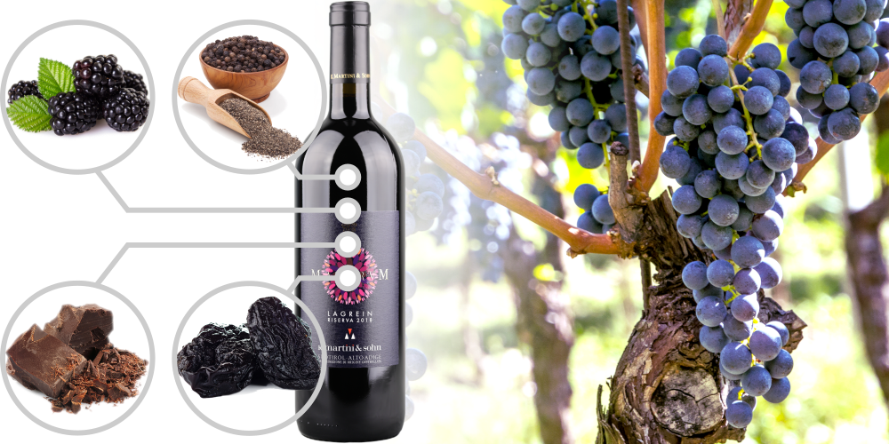 Flavours of Lagrein wine - blackberry, dark chocolate, sweet prune, black pepper