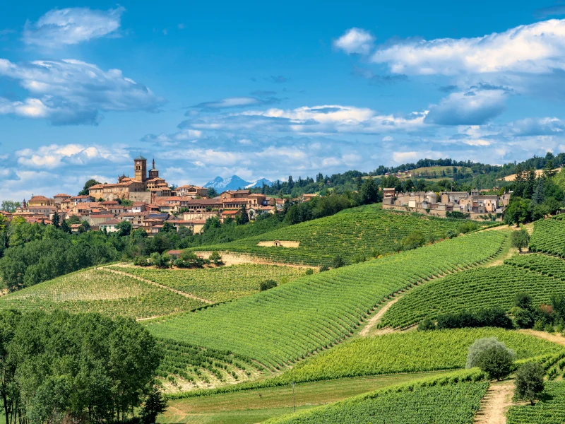 Monferrato hills, Asti province, Piemonte, Italy