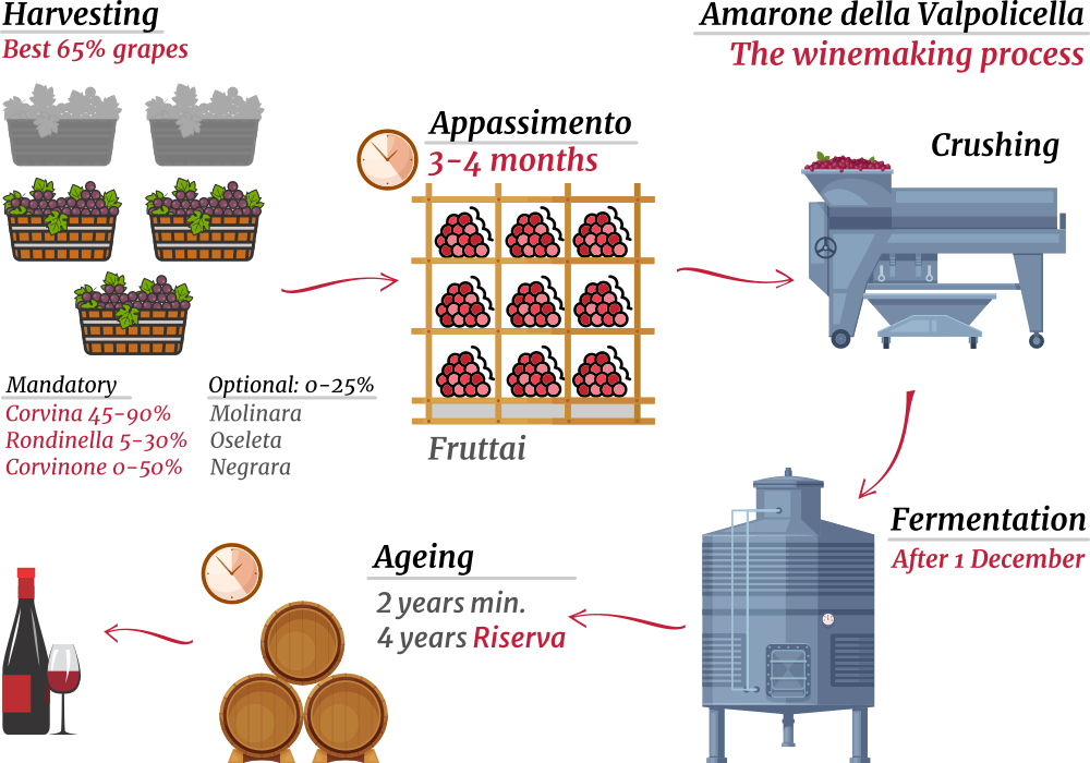 Diagram of Amarone della Valpolicella winemaking rules, Independent Wine