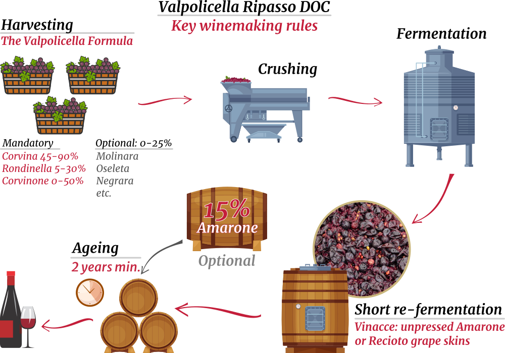 Diagram of Valpolicella Ripasso DOC Key Winemaking Rules - Independent Wine Ltd