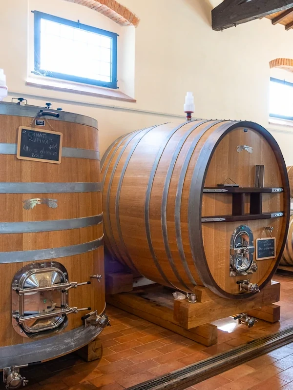 Oak wine ageing barrels in the Borgo Macereto winery, Dicomano, Firenze, Toscana