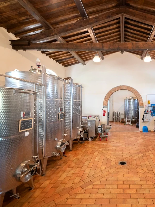 Wine fermentation room in the Borgo Macereto winery, Dicomano, Firenze, Toscana